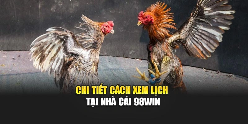 Chi tiết cách xem lịch tại nhà cái 98WIN